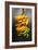 Yellow Bananas-null-Framed Photo