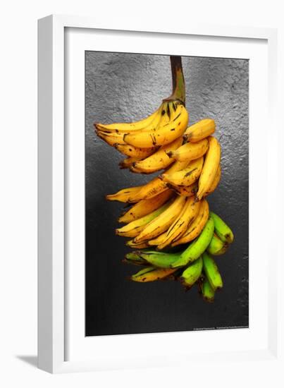 Yellow Bananas-null-Framed Photo