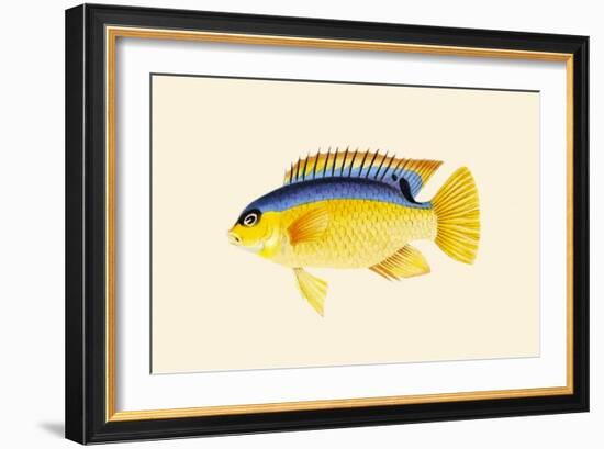 Yellow Bartikyah-John Whitchurch Bennett-Framed Art Print