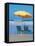 Yellow Beach Umbrella-Mark Gibson-Framed Premier Image Canvas