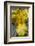 Yellow Bearded Iris-Jim Engelbrecht-Framed Photographic Print