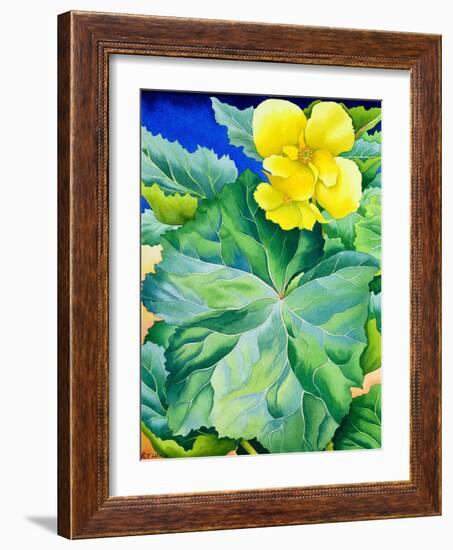 Yellow Begonia, 2019 (Watercolour on Paper)-Christopher Ryland-Framed Giclee Print