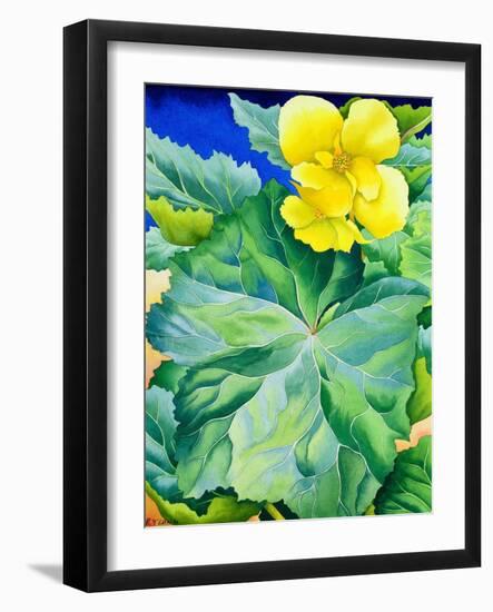 Yellow Begonia, 2019 (Watercolour on Paper)-Christopher Ryland-Framed Giclee Print