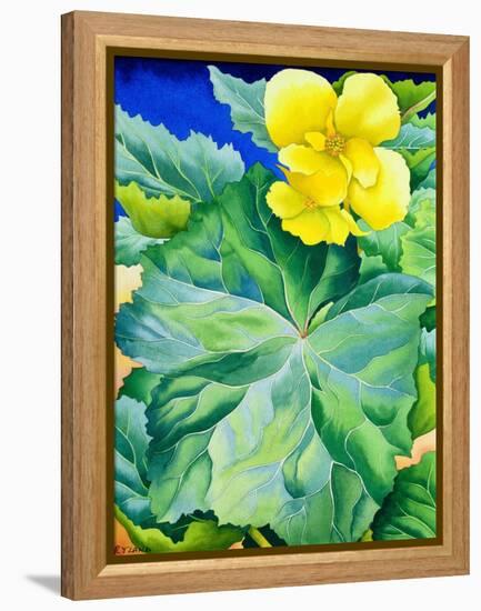 Yellow Begonia, 2019 (Watercolour on Paper)-Christopher Ryland-Framed Premier Image Canvas