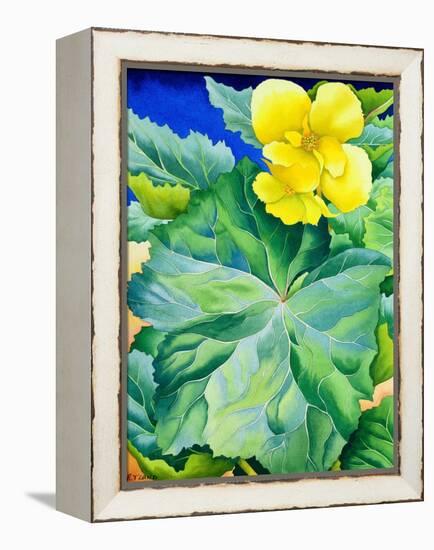 Yellow Begonia, 2019 (Watercolour on Paper)-Christopher Ryland-Framed Premier Image Canvas