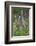 Yellow-Bellied Marmot Among Wildflowers, San Juan Nat'l Forest, Colorado, USA-James Hager-Framed Photographic Print