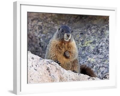 Marmot sublime deals