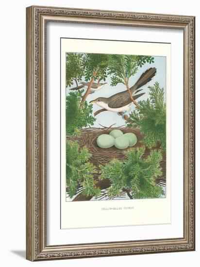 Yellow-Billed Cuckoo-null-Framed Art Print