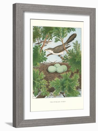 Yellow-Billed Cuckoo-null-Framed Art Print