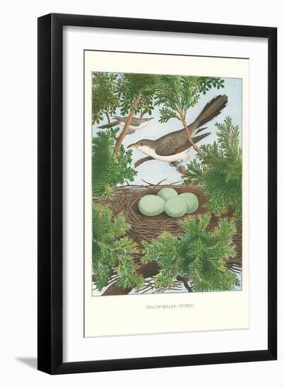 Yellow-Billed Cuckoo-null-Framed Art Print