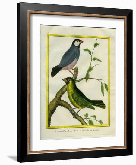 Yellow-Billed Grosbeak and Yellow-Green Grosbeak-Georges-Louis Buffon-Framed Giclee Print