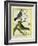 Yellow-Billed Grosbeak and Yellow-Green Grosbeak-Georges-Louis Buffon-Framed Giclee Print