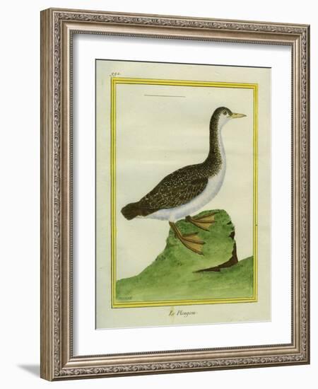 Yellow-Billed Loon-Georges-Louis Buffon-Framed Giclee Print