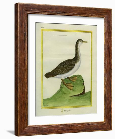 Yellow-Billed Loon-Georges-Louis Buffon-Framed Giclee Print