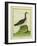 Yellow-Billed Loon-Georges-Louis Buffon-Framed Giclee Print