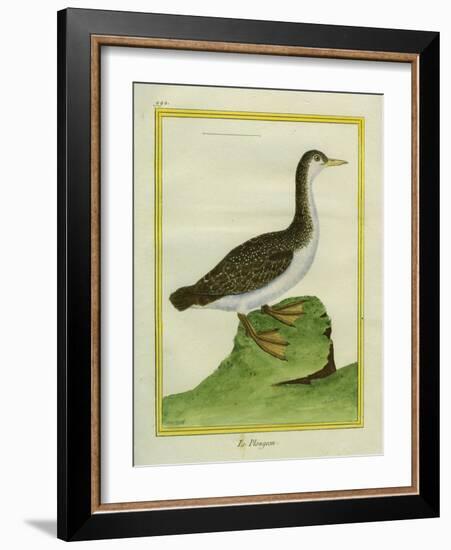 Yellow-Billed Loon-Georges-Louis Buffon-Framed Giclee Print