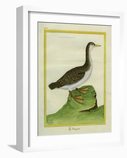 Yellow-Billed Loon-Georges-Louis Buffon-Framed Giclee Print