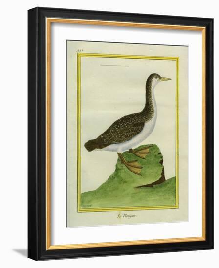 Yellow-Billed Loon-Georges-Louis Buffon-Framed Giclee Print