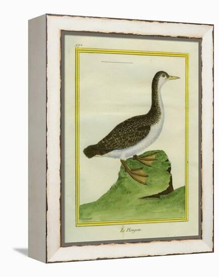 Yellow-Billed Loon-Georges-Louis Buffon-Framed Premier Image Canvas