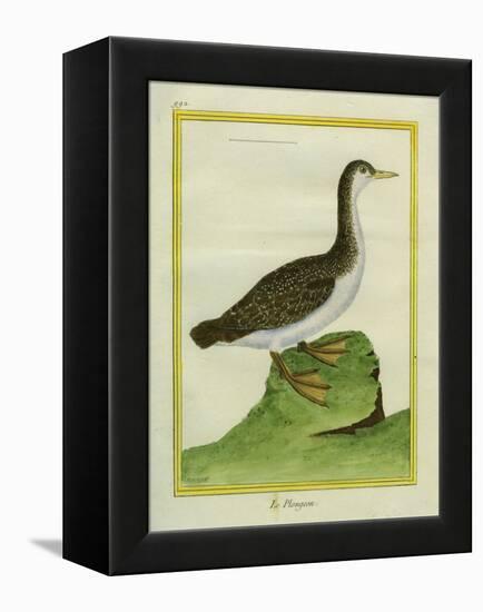 Yellow-Billed Loon-Georges-Louis Buffon-Framed Premier Image Canvas