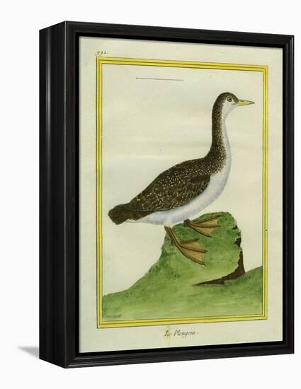 Yellow-Billed Loon-Georges-Louis Buffon-Framed Premier Image Canvas