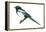 Yellow-Billed Magpie (Pica Nutalli), Birds-Encyclopaedia Britannica-Framed Stretched Canvas