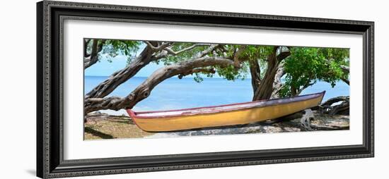 Yellow Bird Boat-Steve Vaughn-Framed Photographic Print