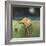 Yellow Bird in Moonlight-Tim Nyberg-Framed Giclee Print