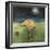 Yellow Bird in Moonlight-Tim Nyberg-Framed Giclee Print