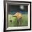 Yellow Bird in Moonlight-Tim Nyberg-Framed Giclee Print