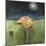 Yellow Bird in Moonlight-Tim Nyberg-Mounted Giclee Print
