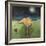 Yellow Bird in Moonlight-Tim Nyberg-Framed Giclee Print