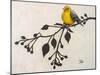 Yellow Bird On the Branch II-Patricia Pinto-Mounted Art Print