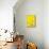 Yellow Bird-Jace Grey-Mounted Art Print displayed on a wall