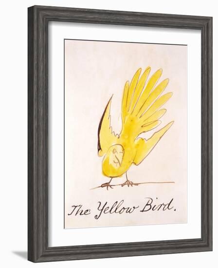 Yellow Bird-Edward Lear-Framed Giclee Print