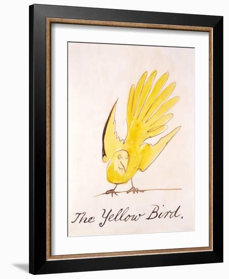 Yellow Bird-Edward Lear-Framed Giclee Print