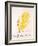 Yellow Bird-Edward Lear-Framed Giclee Print