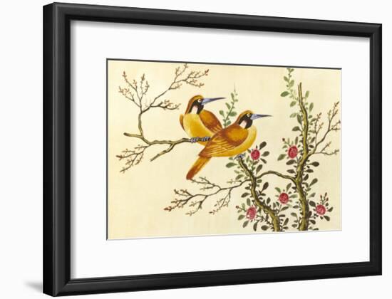 Yellow Birds On Branch-null-Framed Premium Giclee Print