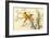 Yellow Birds On Branch-null-Framed Premium Giclee Print