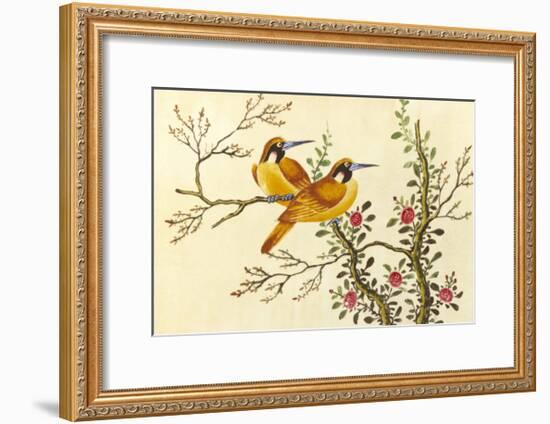 Yellow Birds On Branch-null-Framed Premium Giclee Print
