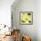 Yellow Blossom-null-Framed Photographic Print displayed on a wall