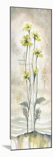 Yellow Blossoms II-Margaret Ferry-Mounted Art Print