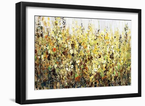 Yellow Blossoms-Tim O'toole-Framed Giclee Print