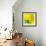 Yellow / Blue-Daniel Cacouault-Framed Giclee Print displayed on a wall