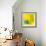 Yellow / Blue-Daniel Cacouault-Framed Giclee Print displayed on a wall