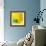 Yellow / Blue-Daniel Cacouault-Framed Giclee Print displayed on a wall