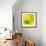 Yellow / Blue-Daniel Cacouault-Framed Giclee Print displayed on a wall