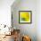 Yellow / Blue-Daniel Cacouault-Framed Giclee Print displayed on a wall