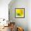 Yellow / Blue-Daniel Cacouault-Framed Giclee Print displayed on a wall