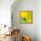 Yellow / Blue-Daniel Cacouault-Framed Premier Image Canvas displayed on a wall